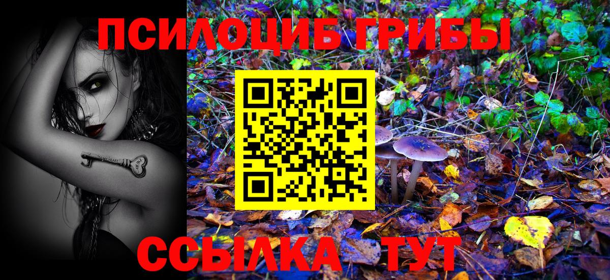 Славянск-на-Кубани  Псилоцибиновые грибы мухоморы  даркнет сайт  Вход с VPN 